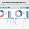 Organized Business Budget Template - Free Download